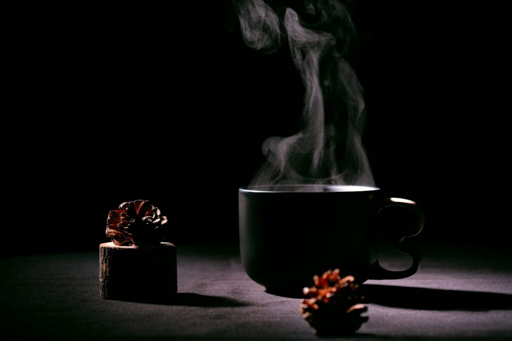 Composition culinaire en studio – direction artistique et photographie